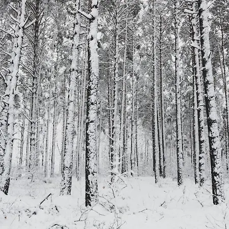 Jarzebinowa - Dom Do Wynajecia Na Podlasiu Luka Esterno foto