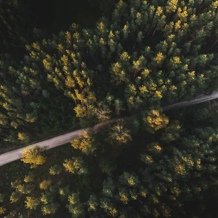 Jarzebinowa - Dom Do Wynajecia Na Podlasiu Luka Esterno foto