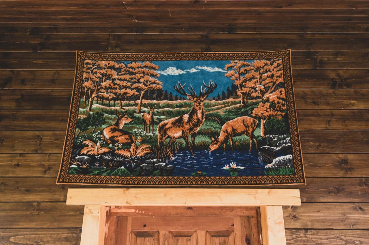 Jarzebinowa - Dom Do Wynajecia Na Podlasiu