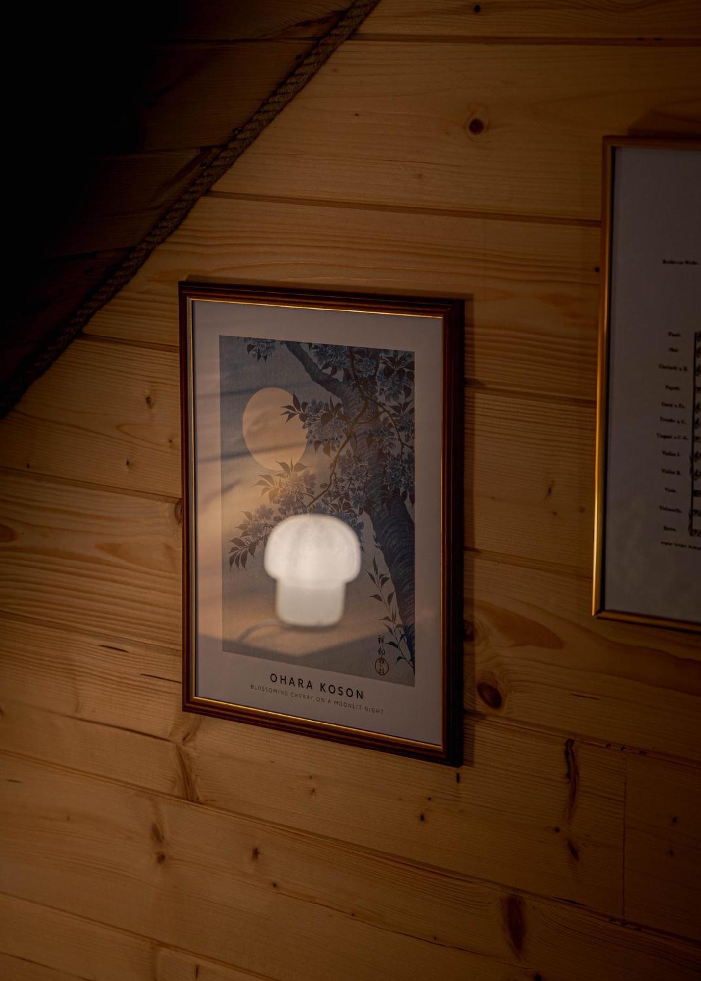 Ferienhaus Jarzebinowa - Dom Do Wynajecia Na Podlasiu *